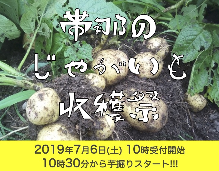 ジャガイモ収穫祭